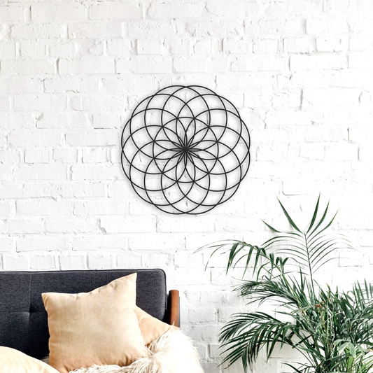 Torus