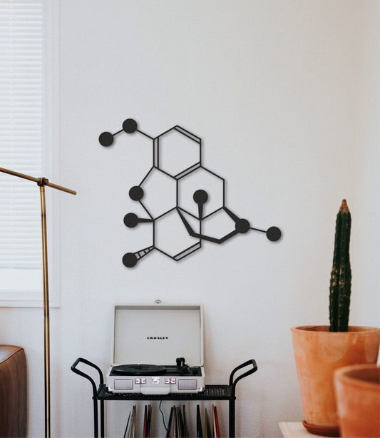 Codeine molecule wall art, drug decor, math classroom decor, chemistry wall art, chemistry art, medical office decor, therapist wall art