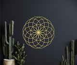 Torus