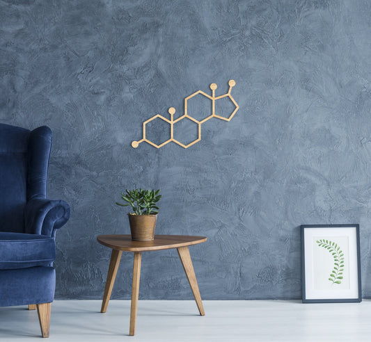 Testosterone molecule wood wall art, science class decor for classroom, chemistry decoration, boys science room decor, chemistry wood art